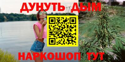 Альфа ПВП Моздок