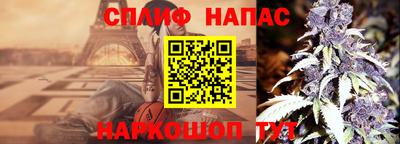 Альфа ПВП Моздок