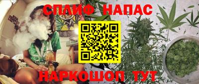 Альфа ПВП Моздок