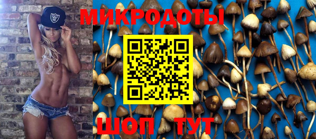 Псилоцибиновые грибы Magic Shrooms  Вход с VPN  Химки 